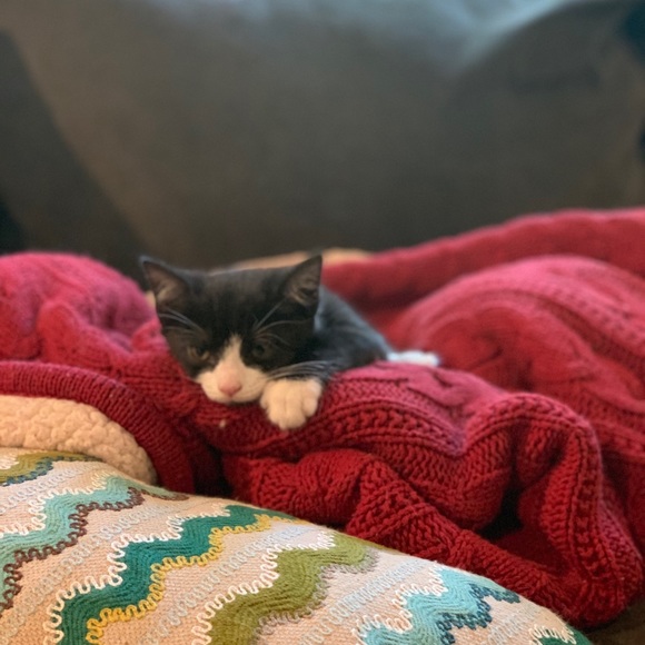 Meet your Posher, Liz - Picture 1 of 1